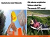 weiter