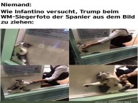 Katzenrettung auf WM-Niveau!