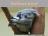 weiter