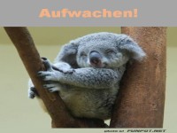 Aufwachen
