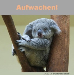 Aufwachen.jpg auf www.funpot.net