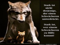 Der ungleiche Superhelden-Duo