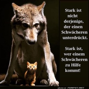 Der-ungleiche-Superhelden-Duo.jpg von Tobias-1995