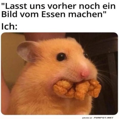 Wenn-Food-Selfies-au&szlig;er-Kontrolle-geraten.jpg von Nele