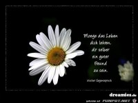 154922 508247752542743 650475692 n