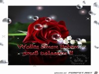 wollte einen lieben gruss dalassen