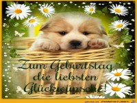 Glueckwuensche