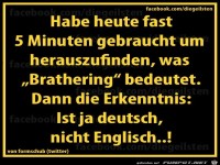 diegeilsten Brathering