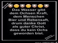 Das Wasser
