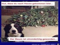 Weihnachtsbaum