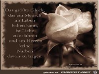 das grsste Glck das ein Mensch.....