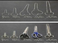 Was dachtest du denn?