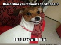 B�ser Hund