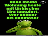 Wohnung mit Lira tapeziert