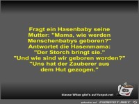 Fragt ein Hasenbaby seine Mutter