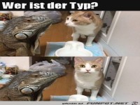 Was ist das f�r ein Typ?