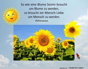 So-wie-eine-Blume.jpg auf www.funpot.net