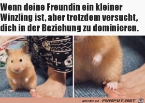 Winzige-Freundin.jpg auf www.funpot.net