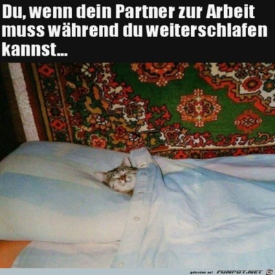 Weiterschlafen-d&uuml;rfen.jpg von Lina