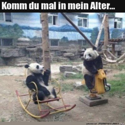 Komm-du-mal-in-mein-Alter.jpg von Hannah
