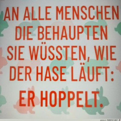 er-hoppelt.jpg von Tilo