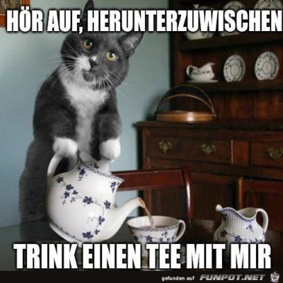 Trink-einen-Tee.jpg von Keule56