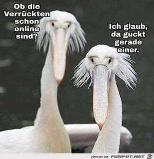 Online.jpg auf www.funpot.net