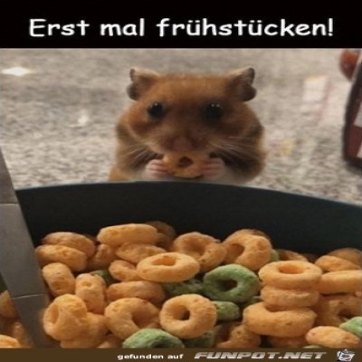 Leckeres-Fr&uuml;hst&uuml;ck.jpg von Sena