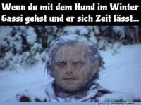 Wenn der Hund im Winter tr�delt