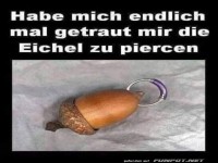 Eichel-Piercing: Humorvoller Bildwitz