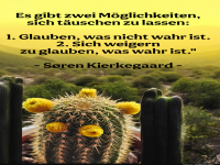 es gibt zwei möglichkeiten