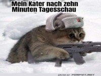Das kann man verstehen