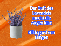 der duft des lavendels
