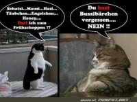 Die Chefin
