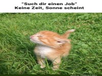 Karriereplanung f�r Sonnenanbeter
