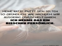 Katzenkuscheln mit Nebenwirkungen