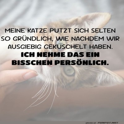 Katzenkuscheln-mit-Nebenwirkungen.jpg von Matilda