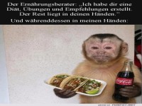 Wenn Di�tpl�ne auf tacos treffen