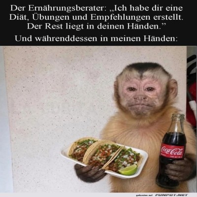 Wenn-Di&auml;tpl&auml;ne-auf-tacos-treffen.jpg von Josefin
