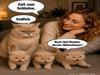 Katzeneltern kennen keinen Feierabend