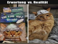 Katzen-Aluhut: Erwartungen vs. Realit�t