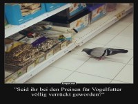 Taube beim Einkauf: Schock an der Kasse!