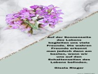 auf der Sonnenseite