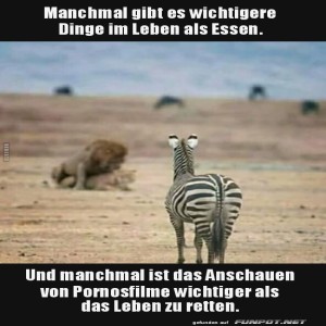 Wichtigere-Dinge.jpg von Michelle