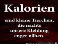 Kalorien