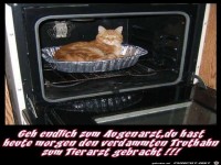 Geh endlich zum Augenarzt