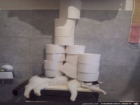 Verst�rende-Bilder-113