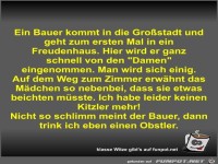 Ein Bauer kommt in die Gro�stadt und geht zum ersten Mal in