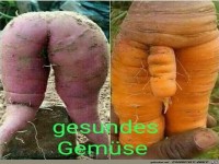 gesundes Gem�se