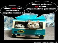 Dann seid ihr richtig